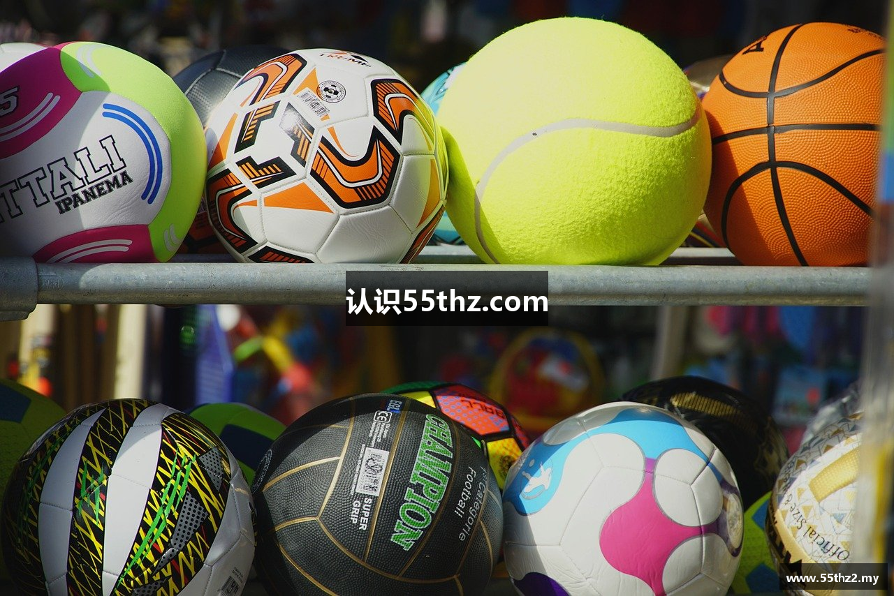 认识55thz.com